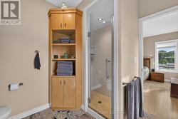 Ensuite and shower - 