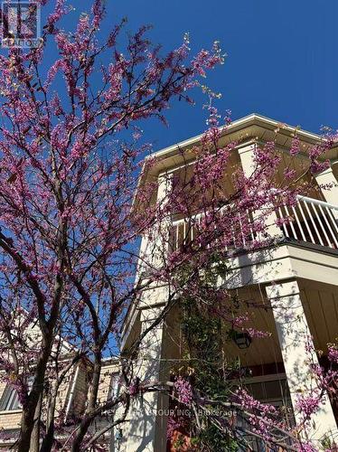 232 Stonebridge Drive, Markham, ON - Outdoor With View