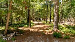 163R Checkerboard Lane Gore Bay, ON P0P 1K0
