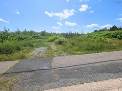 Birch Grove Road Birch Grove, NS B1Y 3G5