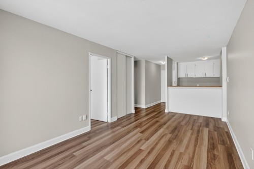 Living Room - 501-1121 Rue Mistral, Montréal (Villeray/Saint-Michel/Parc-Extension), QC - Indoor Photo Showing Other Room