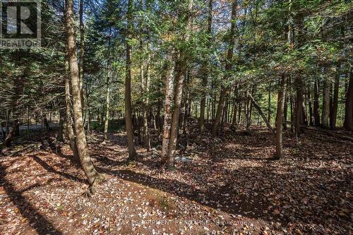 View looking to back of property - 1012 Armstrong Road, Gravenhurst, ON - Outdoor With View