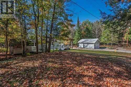 Side yard - 1012 Armstrong Road, Gravenhurst, ON - Outdoor