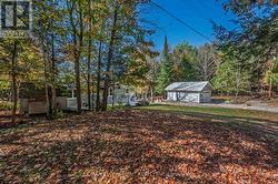 Side yard - 
