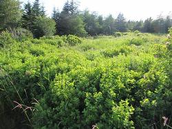 16 A Salmonier Line Holyrood, NL A0A 2R0