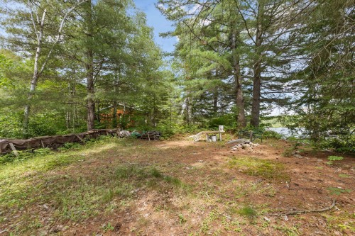 Cour - 107 Ch. Burke, Litchfield, QC - Outdoor