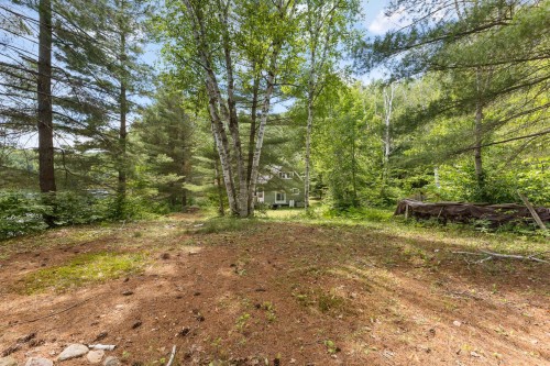 Cour - 107 Ch. Burke, Litchfield, QC - Outdoor With View