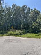 1207 Wallace TER  Sault Ste. Marie, ON P6C 1M8