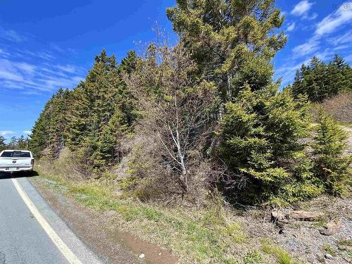 Lot Pid#60466794  Highway 332, Riverport, NS 
