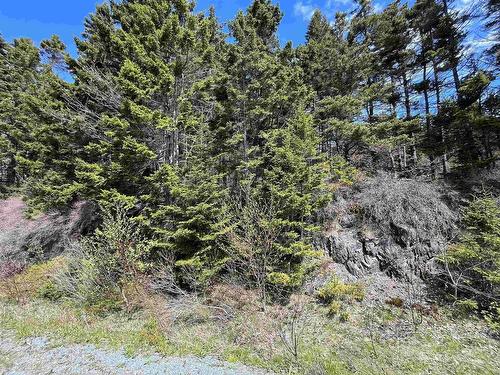 Lot Pid#60466794  Highway 332, Riverport, NS 
