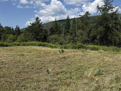 Lot 1 & 2 Whycocomagh Port Hood Rd. Soapstone Mine Soapstone Mine, NS B0E 3M0