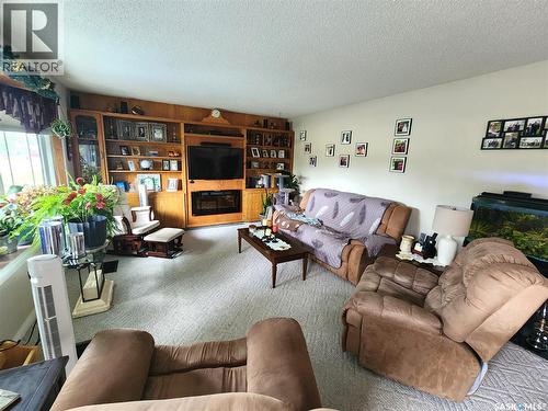 808 Assiniboia Avenue, Stoughton, SK - Indoor Photo Showing Living Room