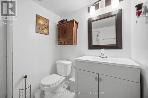 399 Savoline Boulevard, Milton, ON - Indoor Photo Showing Bathroom