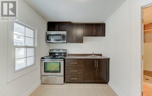 190 Lancaster Street E, Kitchener, ON - Indoor Photo Showing Kitchen