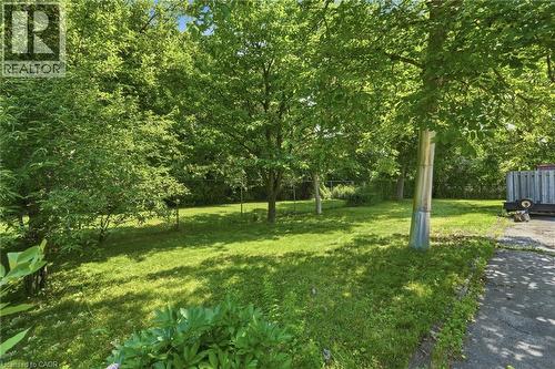 Side yard - 188 Troy Street, Mississauga, ON - Outdoor