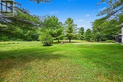 Front Lawn - 