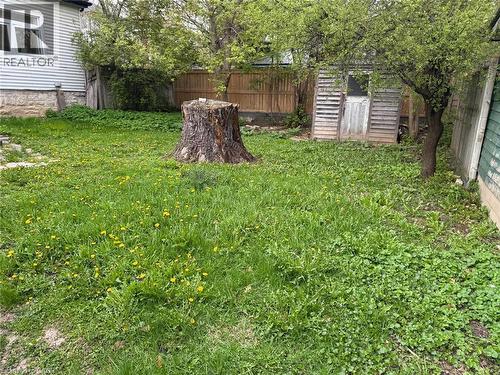 Expansive green space featuring a prominent tree stump, a visible storage shed, and a privacy fence - 190 Lancaster Street E, Kitchener, ON - Outdoor