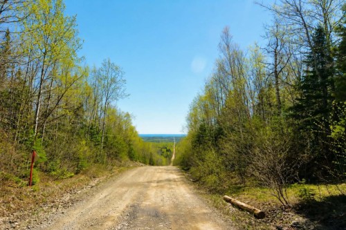 Boisé - Rue Day, Paspébiac, QC 