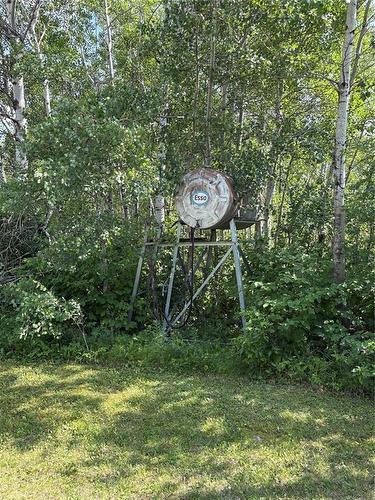 51133 Pr 302 Highway, Tache Rm, MB 