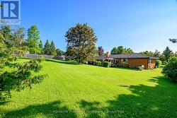 Large Back Yard - 
