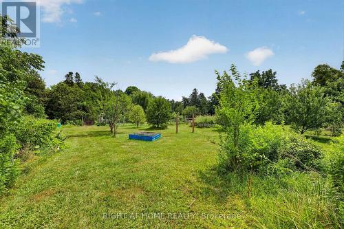 Orchard - 34630 Second Line, Southwold, ON - Outdoor With View