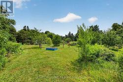 Orchard - 