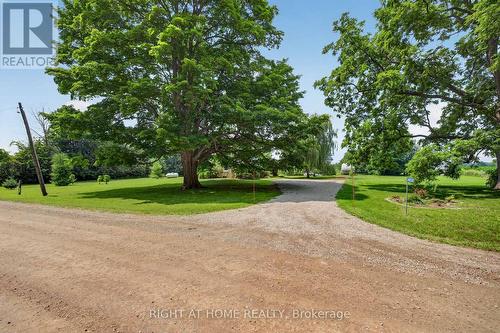 Grand mature trees - 34630 Second Line, Southwold, ON - Outdoor