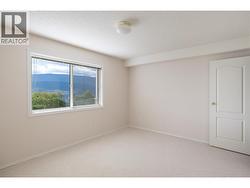Lower level bedroom - great natural light - 