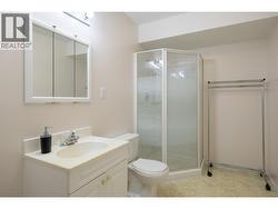 lower level bathroom - 