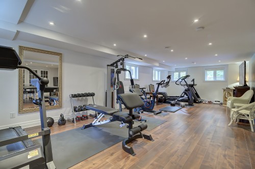 Salle d'exercice - 286 Rue Winters, Baie-D'Urfé, QC - Indoor Photo Showing Gym Room