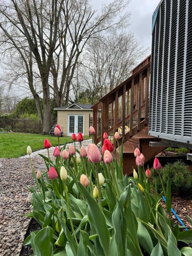 Jardin - 286 Rue Winters, Baie-D'Urfé, QC - Outdoor