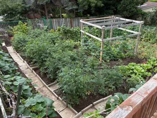Jardin - 286 Rue Winters, Baie-D'Urfé, QC - Outdoor