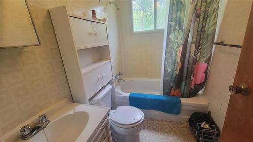46 Cole Blvd, Gimli Rm, MB - Indoor Photo Showing Bathroom