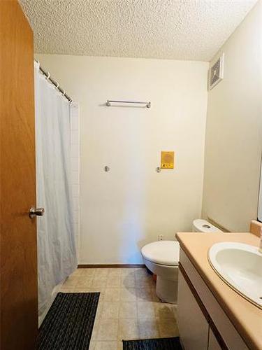 10 Burdick Pl, Winnipeg, MB - Indoor Photo Showing Bathroom