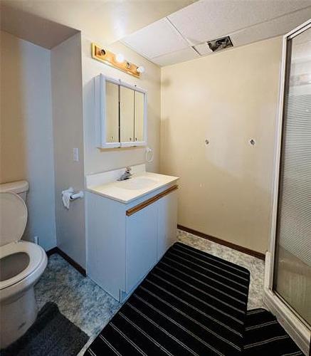 10 Burdick Pl, Winnipeg, MB - Indoor Photo Showing Bathroom