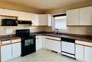 10 Burdick Pl, Winnipeg, MB  - Indoor Photo Showing Kitchen With Double Sink 