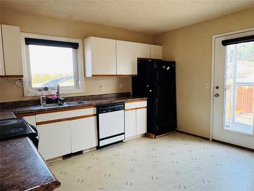 10 Burdick Pl, Winnipeg, MB - Indoor Photo Showing Kitchen With Double Sink