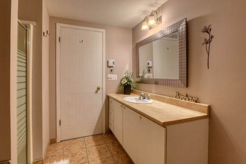Salle de bains - 21-54 Rue De Courcelle, Repentigny (Repentigny), QC - Indoor Photo Showing Bathroom