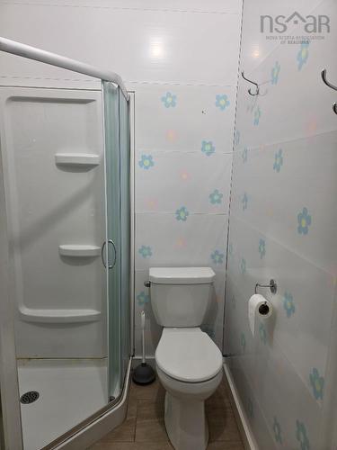 3914 River John Road, Scotch Hill, NS - Indoor Photo Showing Bathroom