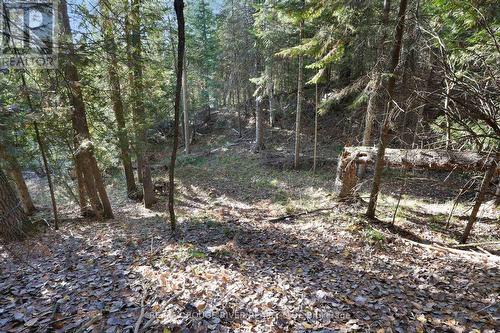 23 Egan Lane, Bancroft, ON - Outdoor With View