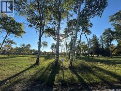 Unit 15 Estates at Fieldstone Grove  Moosomin Rm No. 121, SK S0G 3N0