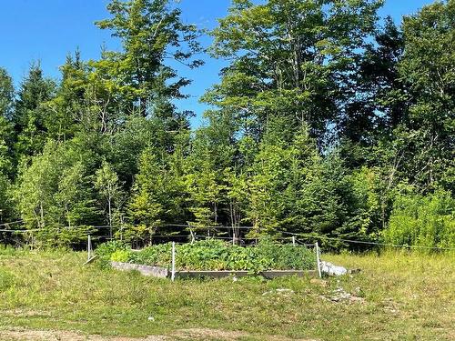 23-1 48 Blue Mountain Loop, Blue Mountain, NS 