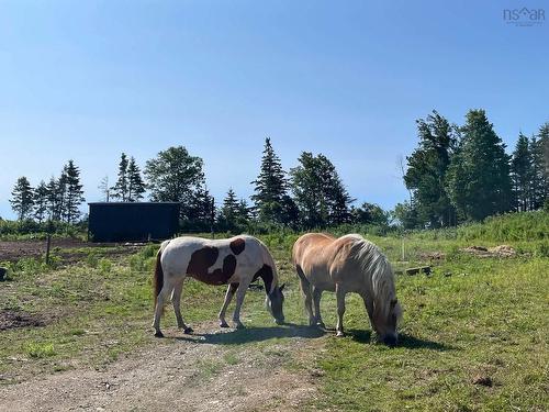23-1 48 Blue Mountain Loop, Blue Mountain, NS 