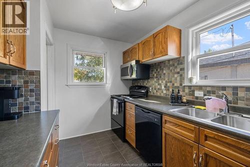 946 Belleperche, Windsor, ON - Indoor Photo Showing Kitchen With Double Sink