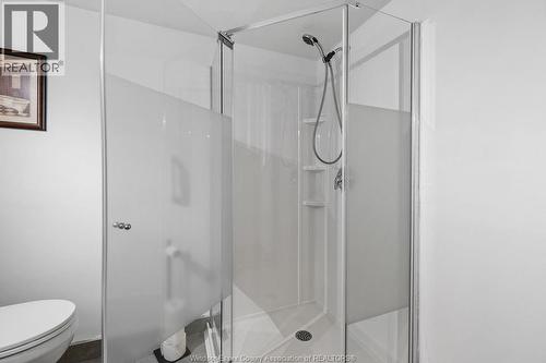 946 Belleperche, Windsor, ON - Indoor Photo Showing Bathroom
