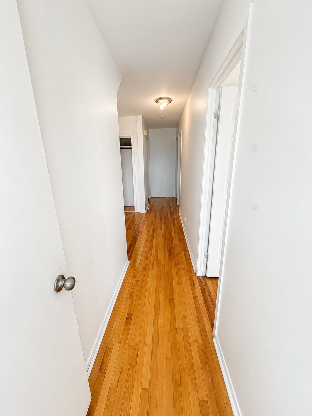 61 Rue Ste Anne — photo 3