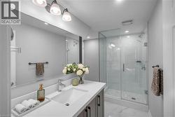 Lower Level Full Modern Bathroom with huge walk-in shower - 