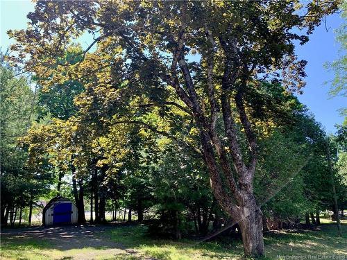 47 Elm St, Saint Stephen, NB - Outdoor