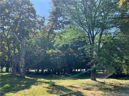 47 Elm St, Saint Stephen, NB - Outdoor With View