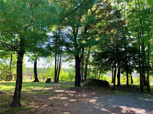 47 Elm St, Saint Stephen, NB - Outdoor With View
